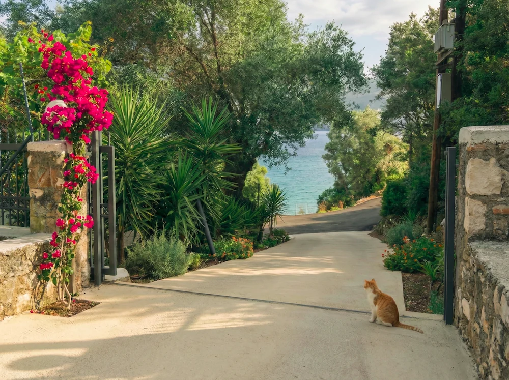 Garden pathway leading to the sea with lush greenery
