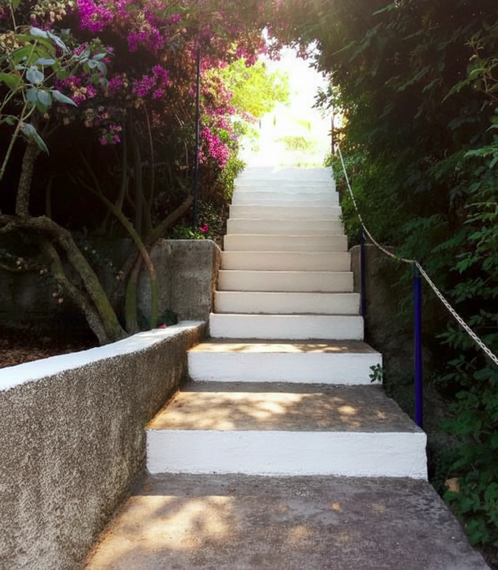 Stone stairs surrounded by vibrant bougainvillea