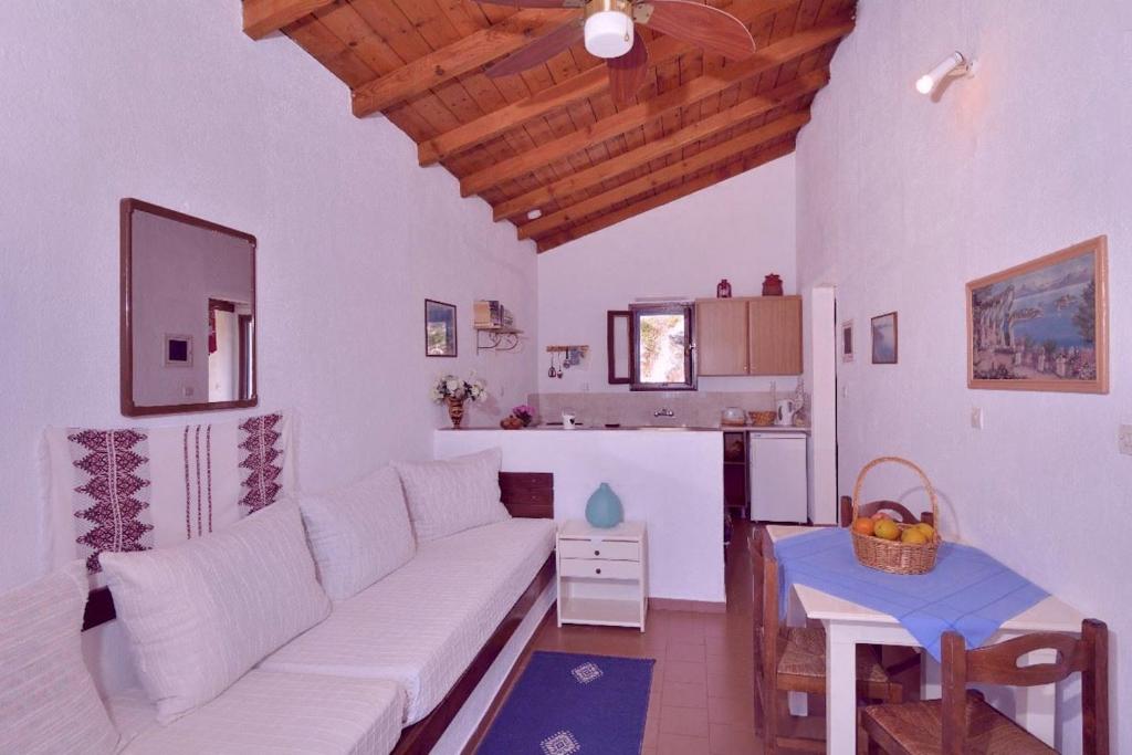 Living area and kitchen interior, designed for comfort