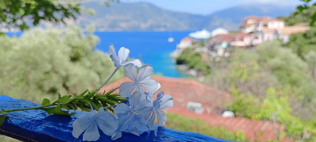 Blue flowers in bloom with the sea as a backdrop